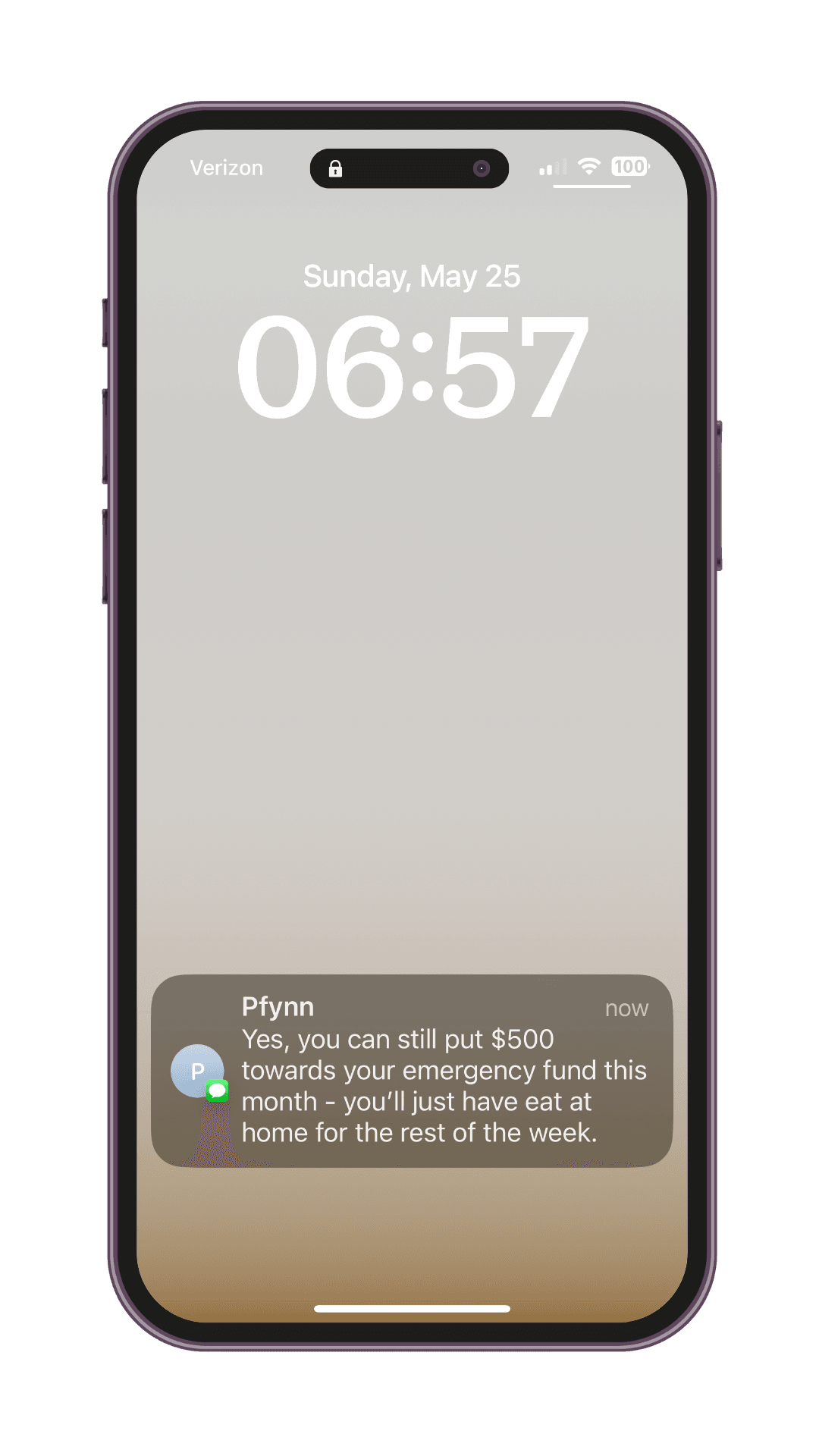 Pfynn app interface showing personal finance insights - View 4